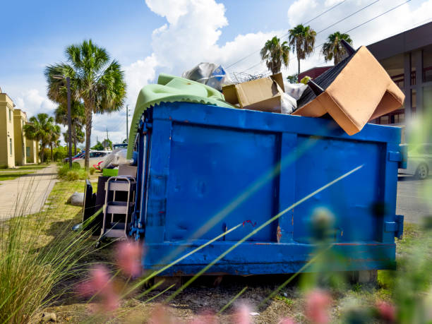 Yard Cleanup Services in Nazareth, PA